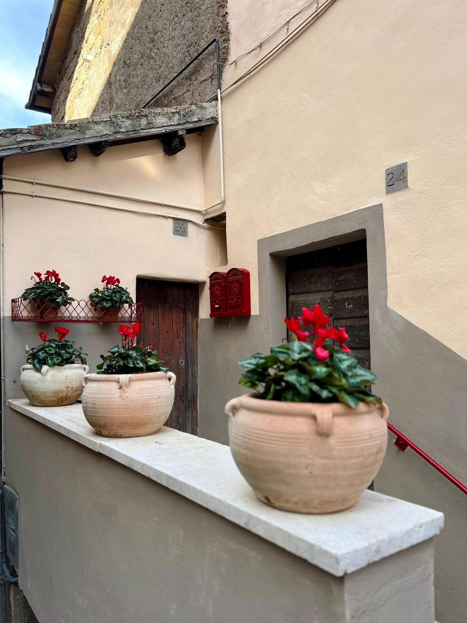 Elena'S Suite Sutri Zewnętrze zdjęcie